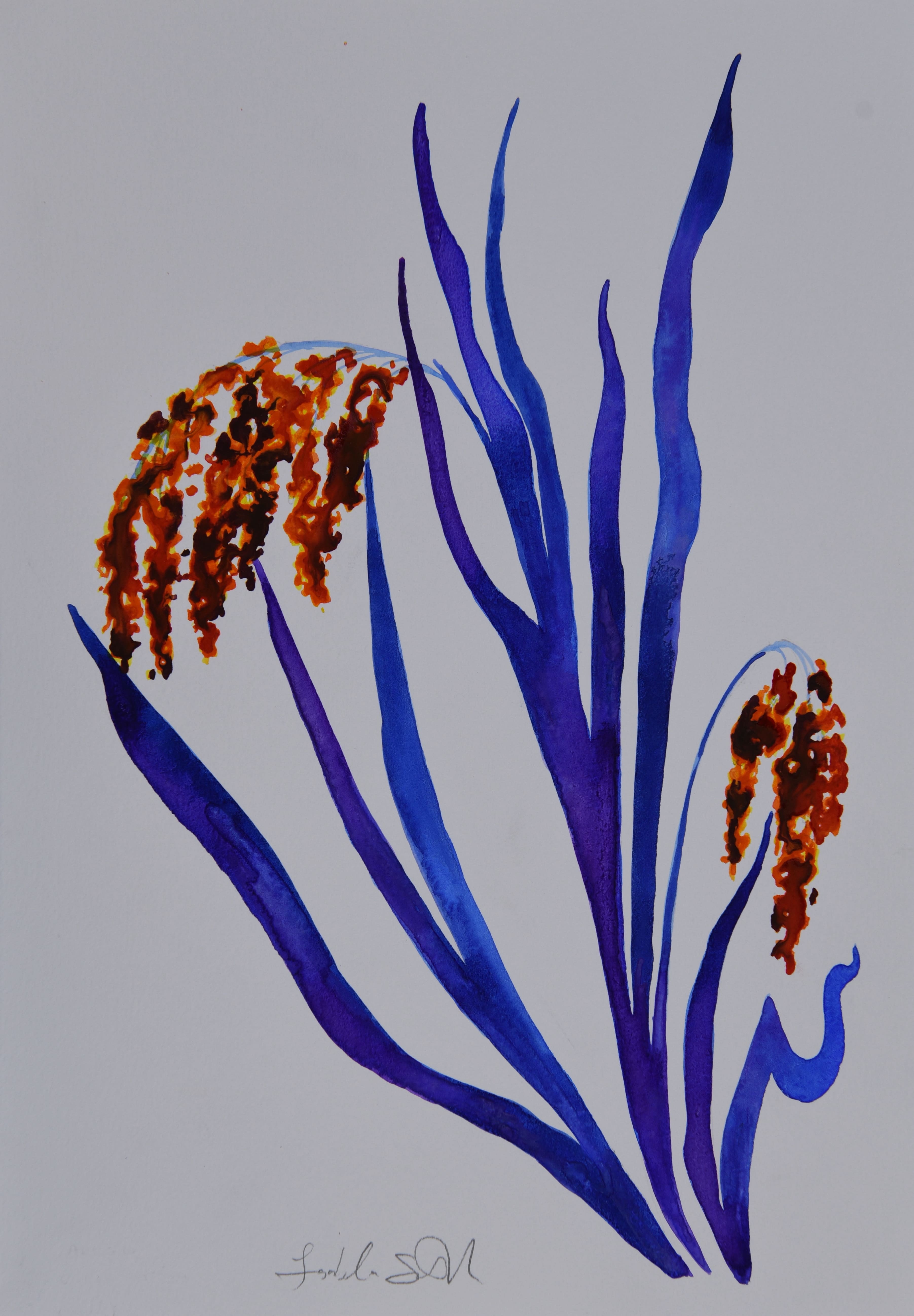 Obra 15 - Arroz